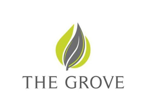 Q&A: The Grove